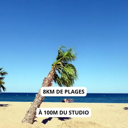 A 100m De La - Terrasse & Parking Prive Apartment