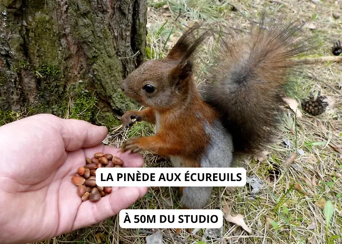 A 100m De La - Terrasse & Parking Prive Le Barcarès